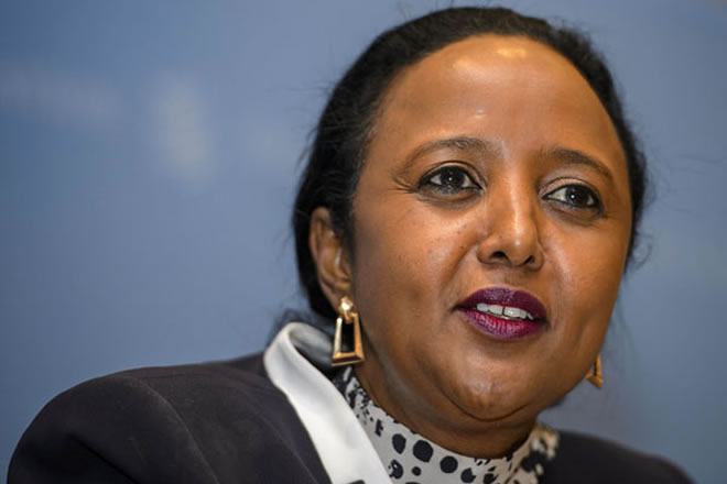 Africa seeks Russian support in quest for UN reforms