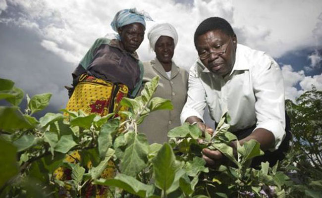 Bio-tech yosimudzira kurima