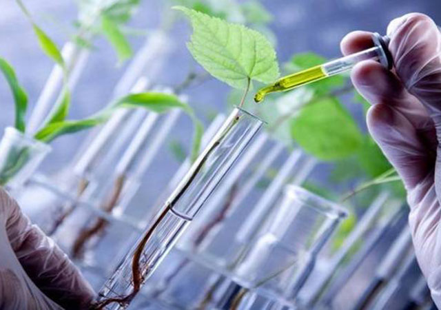 Biotechnology is also widespread in the medical sector