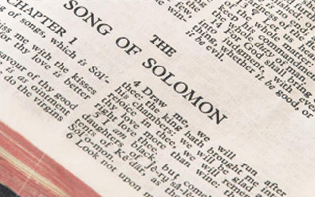 Wisdom Series: Types of Wisdom