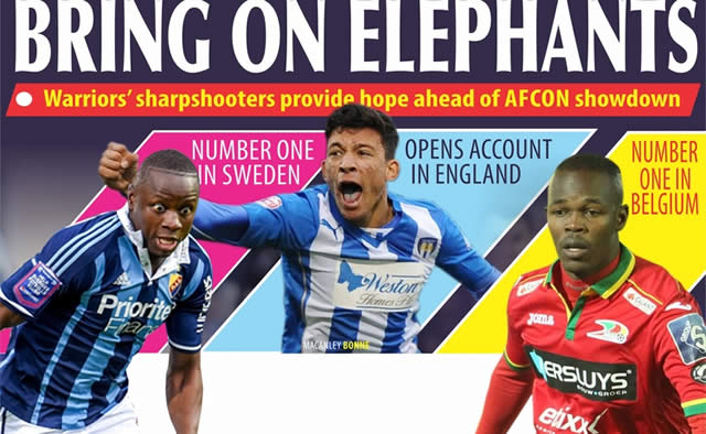 BRING ON ELEPHANTS 2