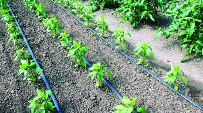 Climate-smart agric: Winning strategy for farming in drought-prone regions