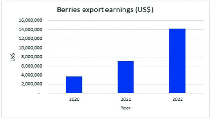 Blueberry leads in horticulture production with 69pc growth