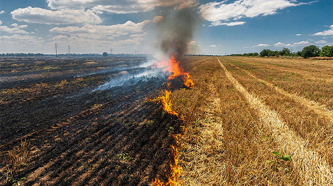 Don’t burn or throw away that residue from your failed crop