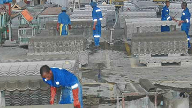 Turnall projects turnover to grow 16pc