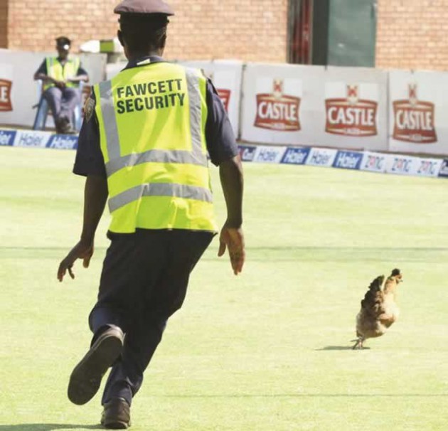 CHECK WHO’S AT SILLY POINT? . . . A security guard gives chase as he tries to drive away a chicken that had wandered onto the field during the first day of the second Test between Zimbabwe and Pakistan - AFP