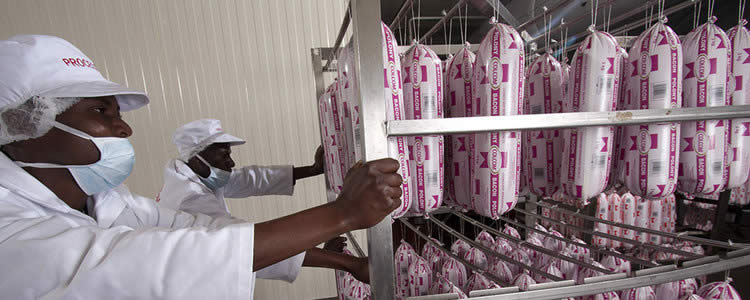 Colcom mulls regional exports