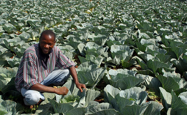 Agric collabos: The devil is in details