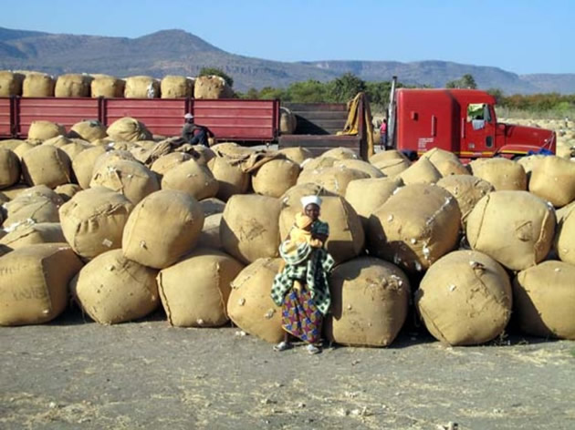 Aico writes down US$30m