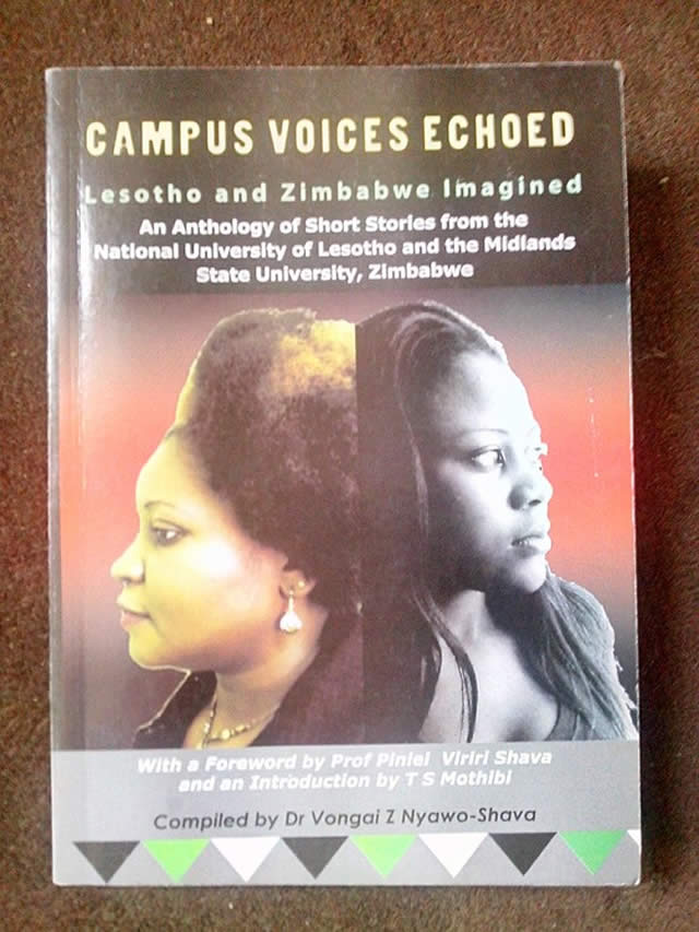 Cover of ‘Campus Voices Echoed’