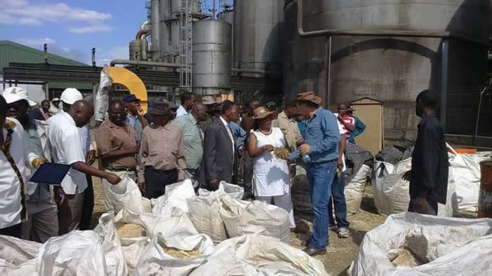 Minister of State for Manicaland Provincial Affairs, Cde Mandi Chimene (in white clothes) and her delegation inspect stockfeed being produced by Green Fuel at Chisumbanje Ethanol Project for free distribution to the surrounding communities