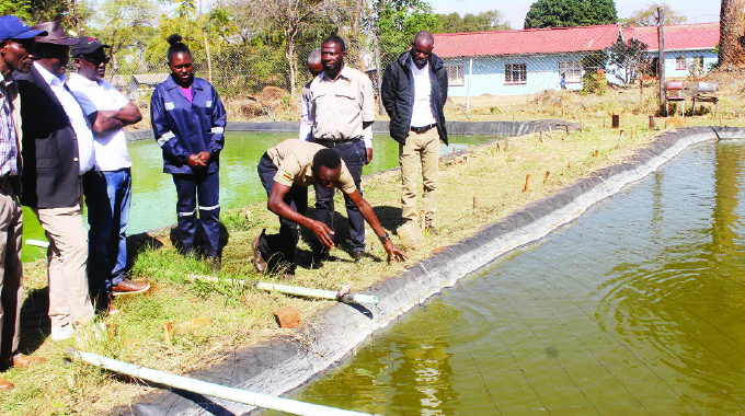 Govt escalates fingerling stocking to all dams