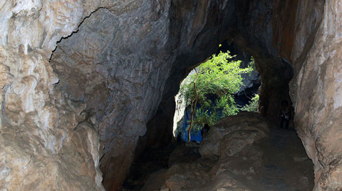 More animals for Chinhoyi Caves