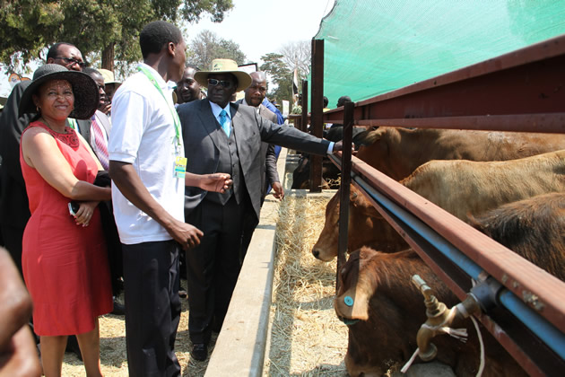 Christopher Magona and Beauty Zhuwao takes President Mugabe for a tour of their stand