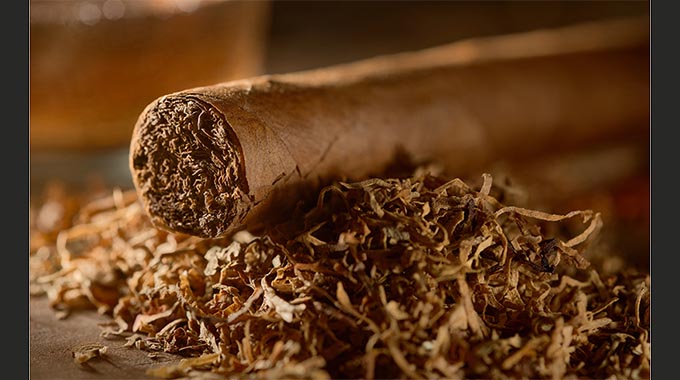 2024 cigar tobacco marketing season gets underway