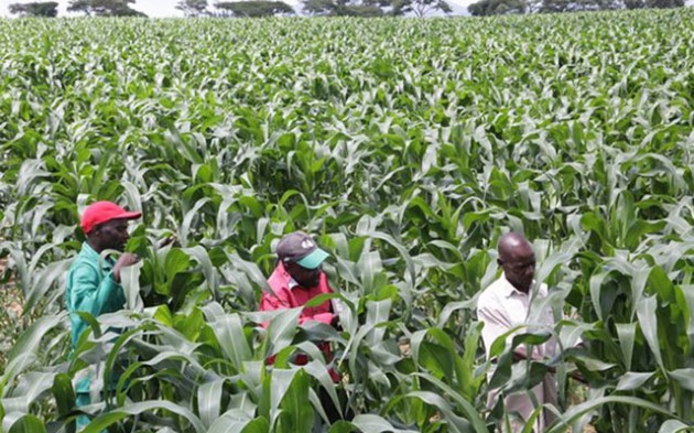 Command Agric