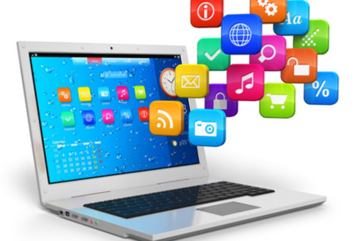Advantages, disadvantages of software usage