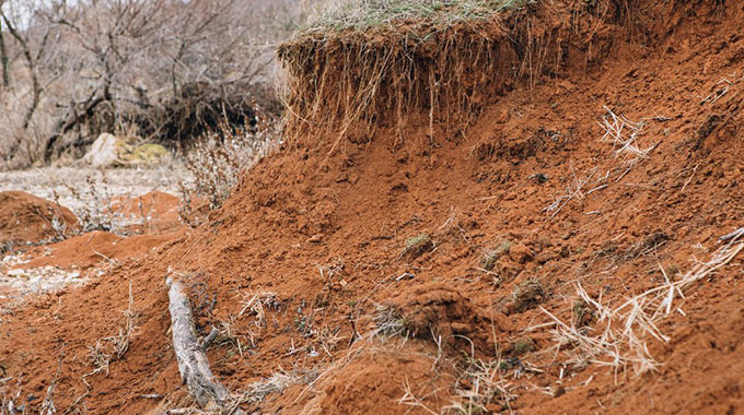 Chisema laments land degradation