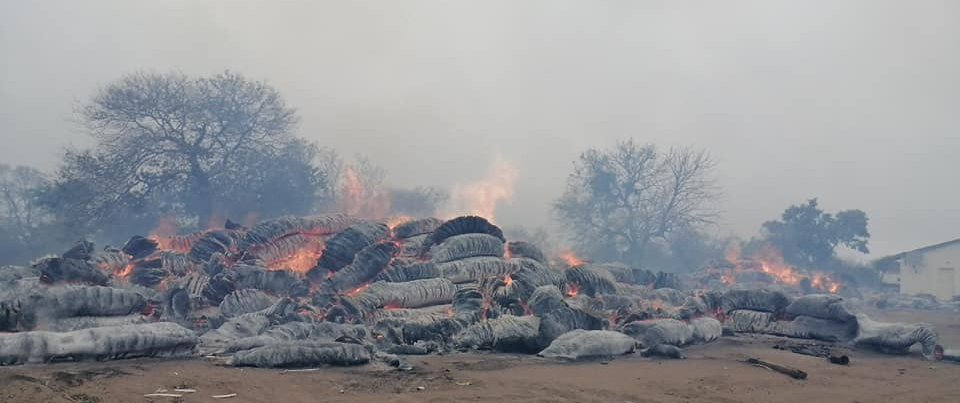 Arson fears raised in ginnery fire
