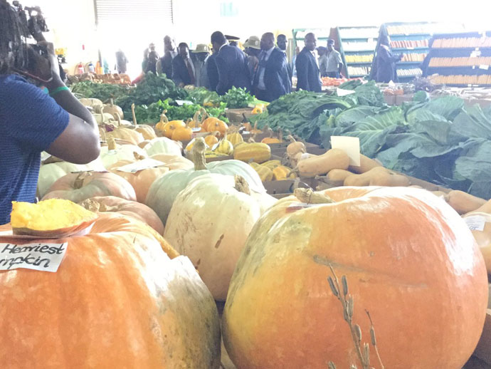 President Mugabe viewing some of the produce. Picture by Elita Chikwati