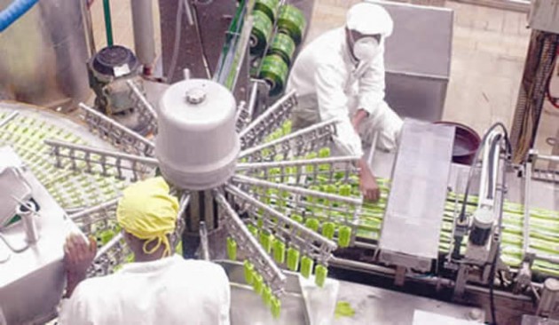 Milk and dairy product producers this year embarked on dairy heifer importation schemes to boost milk production