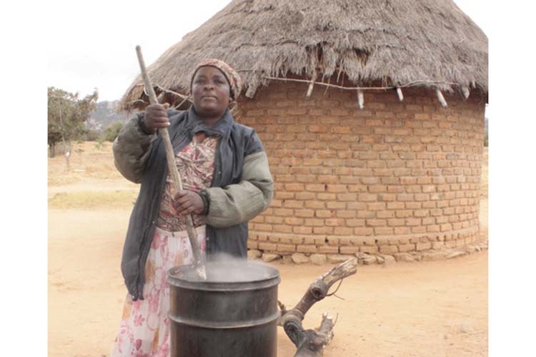 Oriritira mhuri nemaricho, doro