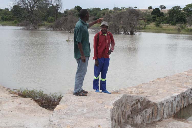 Vokururwa hembe nenjuzu