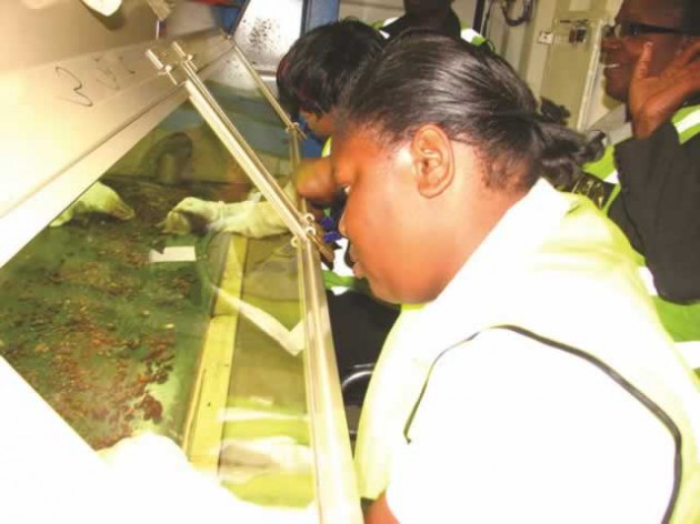 Value addition and beneficiation in mining should also have a sanctions busting element to it