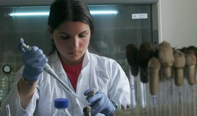 A doctor testing the drug resistant TB treatment