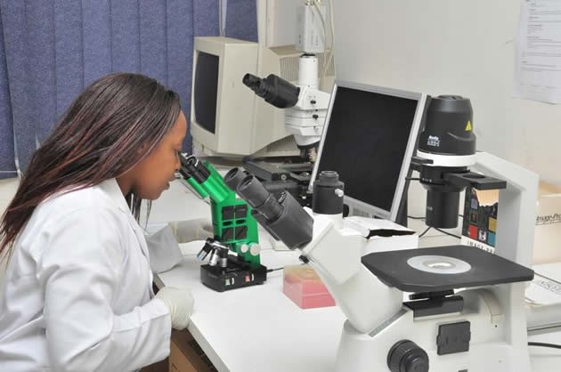 DNA testing
