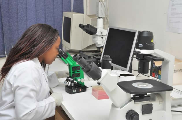 DNA more than paternity testing