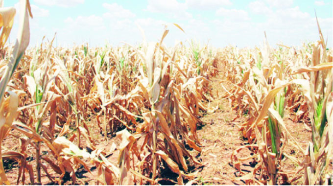 Measures in place to mitigate El Niño effects
