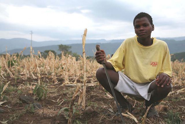 The 2016-17 farming season is shaping up to deliver a roller-coaster from strong El Niño to La Niña
