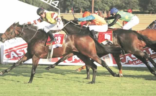 SUPERHORSE . . . Equina powers to victory in the Castle Tankard at Borrowdale this year before romping to another win in the ZNA Charity Shield race at the same venue on Sunday