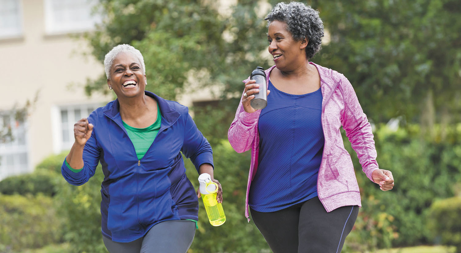 Exercise plan for seniors