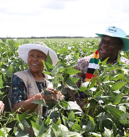 Farming needs innovation: President