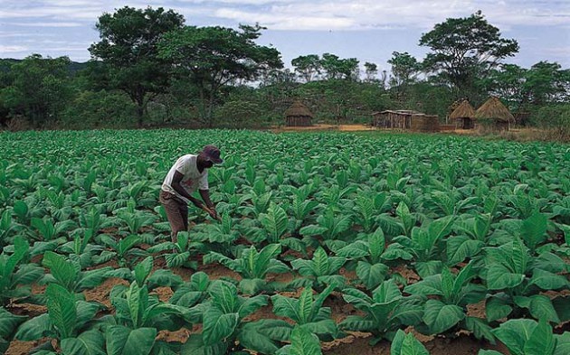 Newly settled farmers must take  personal responsibilityfor the efficient  use of resources allocated in the spirit of empowerment of indigenous Zimbabweans