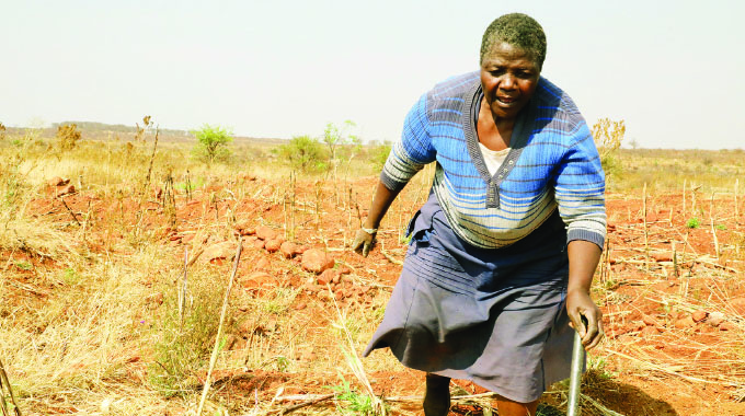 Command Agriculture is an example of an empowerment programme that has been in the main a success, without the State having to open another “Agribank”