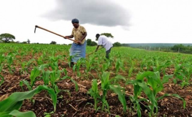Agricultural systems the world over are under severe, interrelated pressures, including chronic soil deterioration, water scarcity and overuse, chemical pollution, climate change, farmers’ exodus to cities, population growth and the global financial crisis 