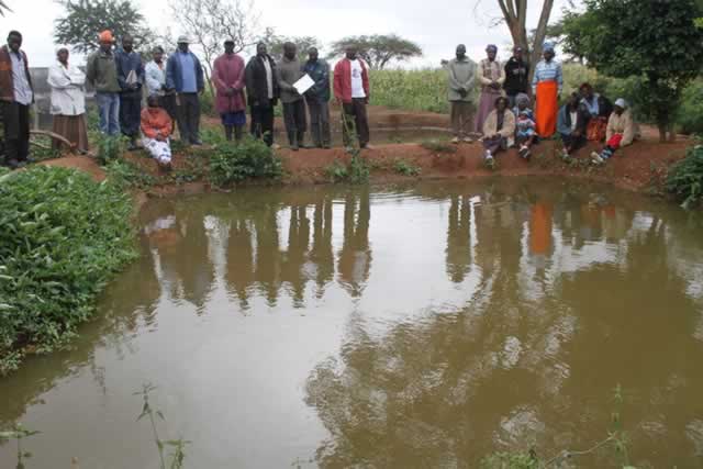 Vopunduka nemushandirapamwe