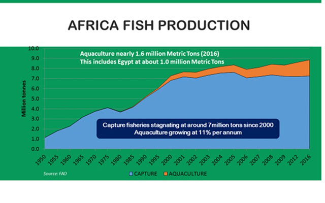 Fish farming, comprehensive aquaculture policy in Zim