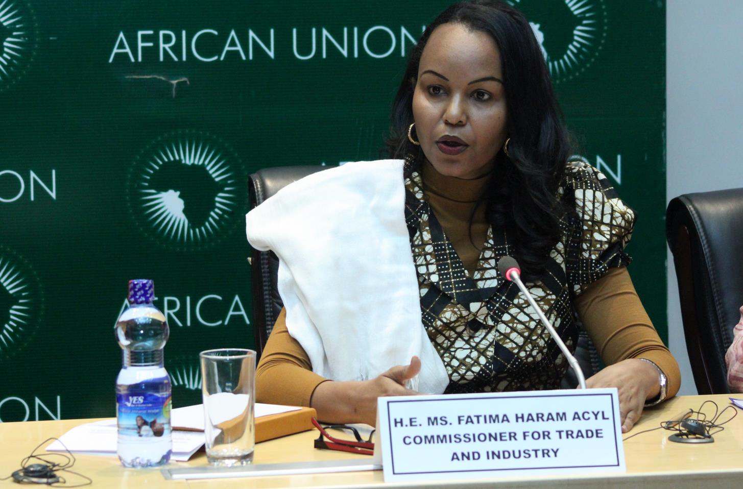 AU prioritises mining, intra-Africa trade