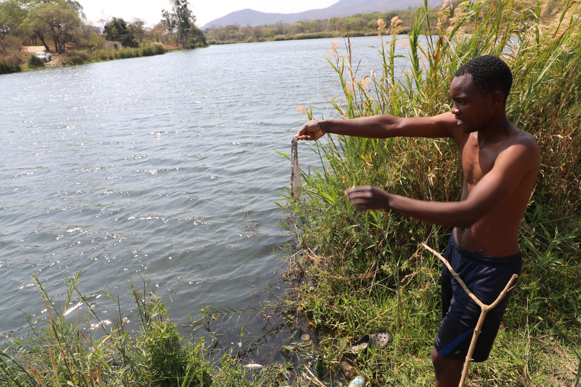 Fish poisoning at Mutare dam