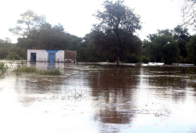 Some villagers and farmers in Umguza District, Matabeleland North Province were seriously affected by the floods as their maize crop mostly at tussling stage has been sumerged in water.The picture taken on Saturday shows an affected kiosk at Matambo.(Picture by Eliah Saushoma)