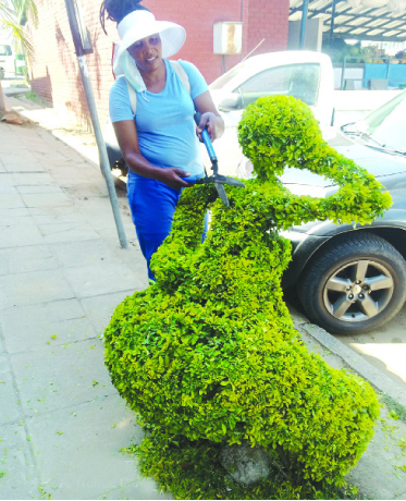 Florist with Midas Touch
