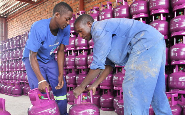 Govt pushes for use of LP gas