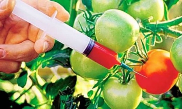 The launch of the OFAB Zimbabwe Chapter will pave way for the application of biotechnology to attain food and nutritional security goals as outlined in the Zimbabwe Agenda for Sustainable Socio-Economic Transformation