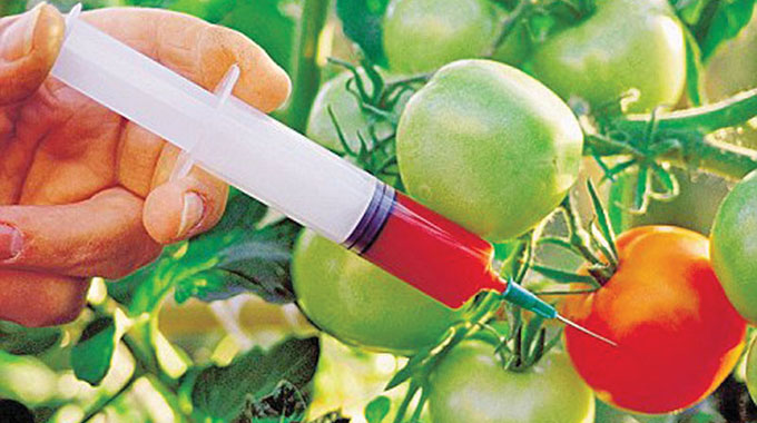 GMOs need more State control, not less