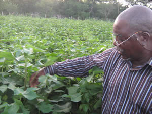 Biotech debate, farmers missing