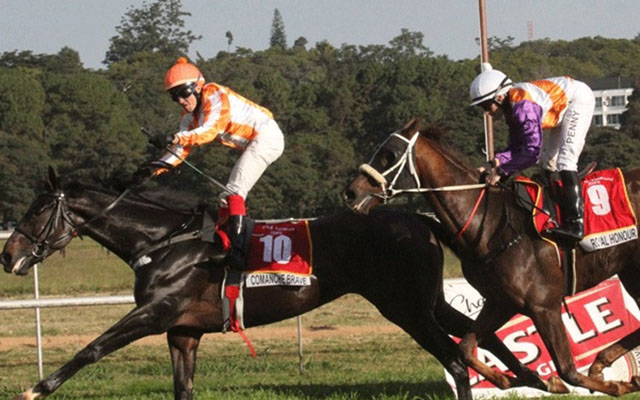 Comache Brave under the spotlight